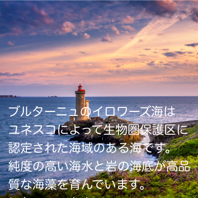 リファイニングジュレ