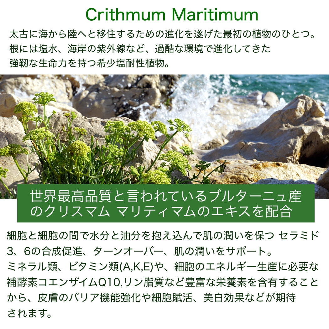 ホワイトパフォーマンスジュレ 50ml