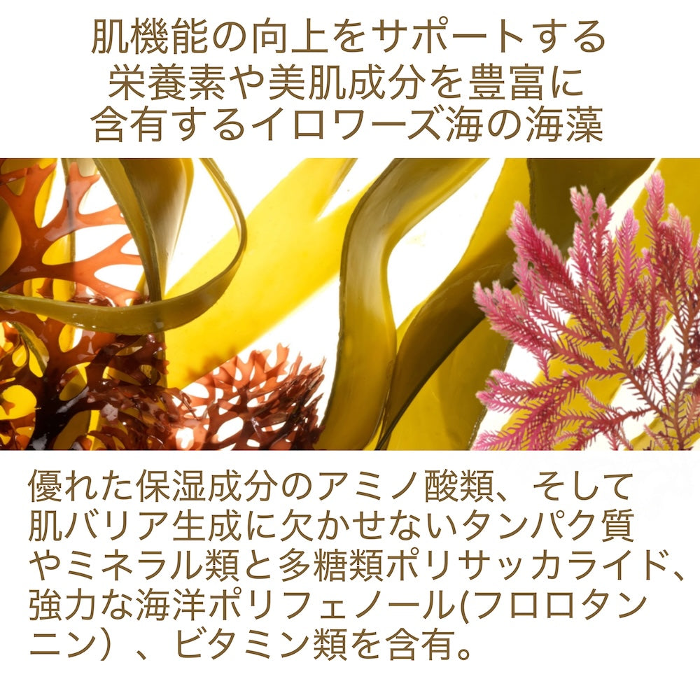 モイスチャライジングクレーム