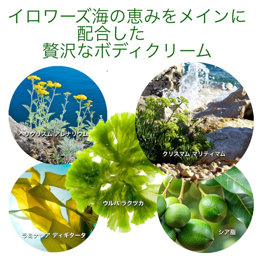 ニュートリーナ ボディバター