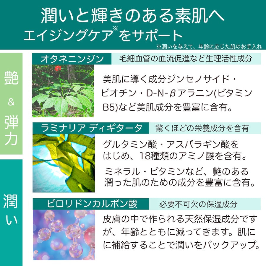 リフレッシングローション