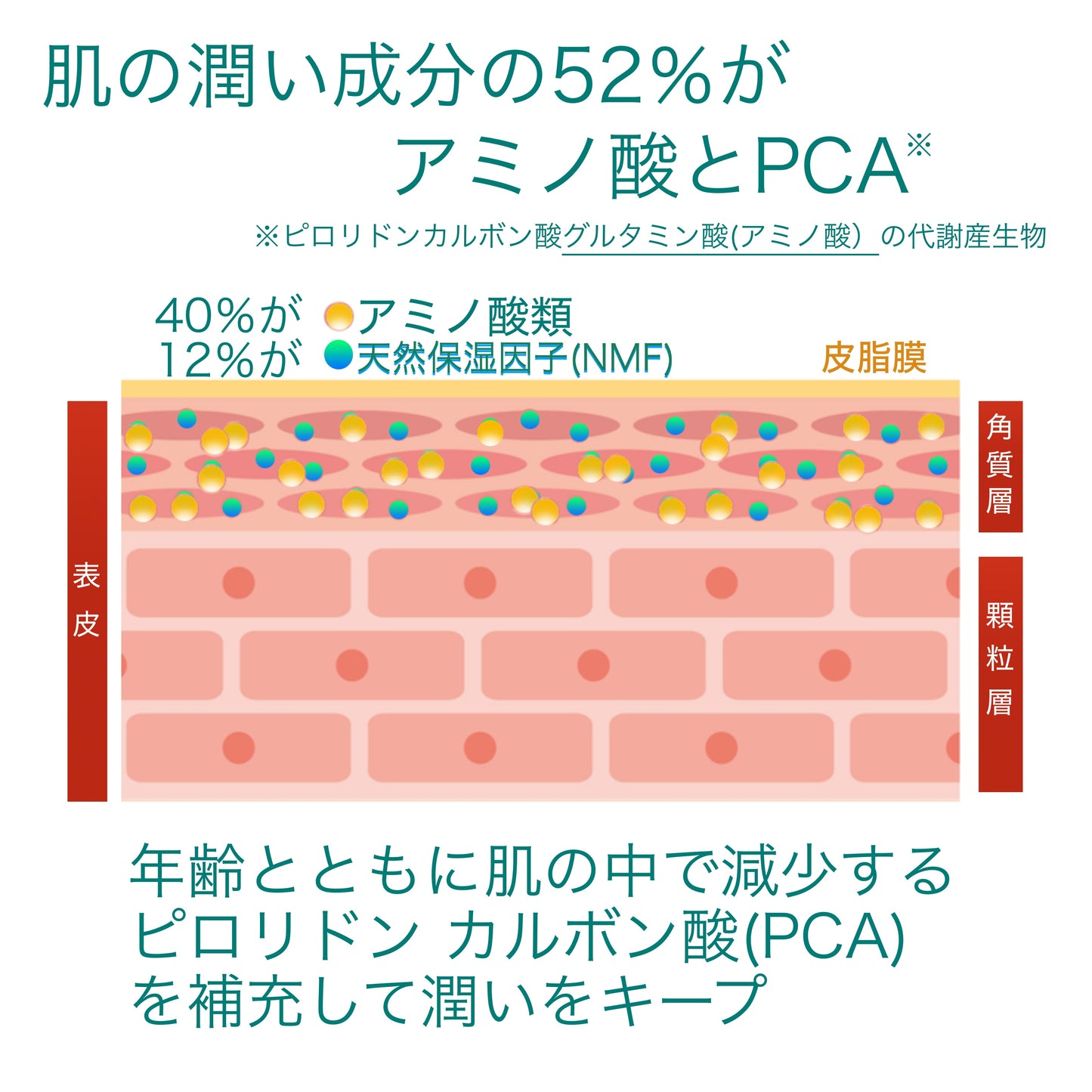 リフレッシングローション
