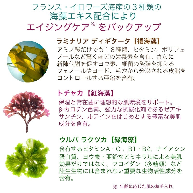 ベルベットクレンジング
