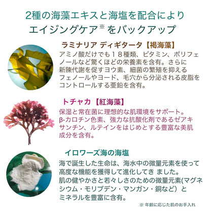 ベルベットクレンジング