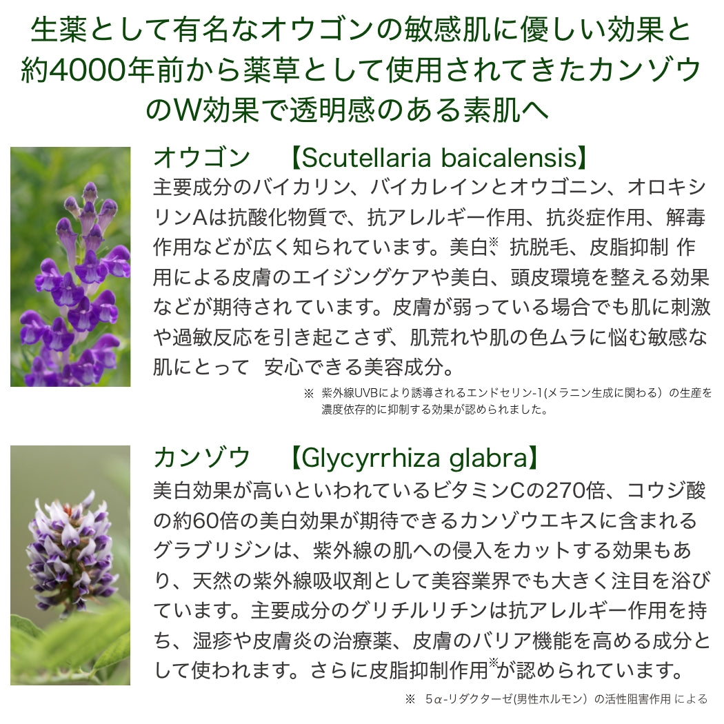 ホワイトパフォーマンスジュレ