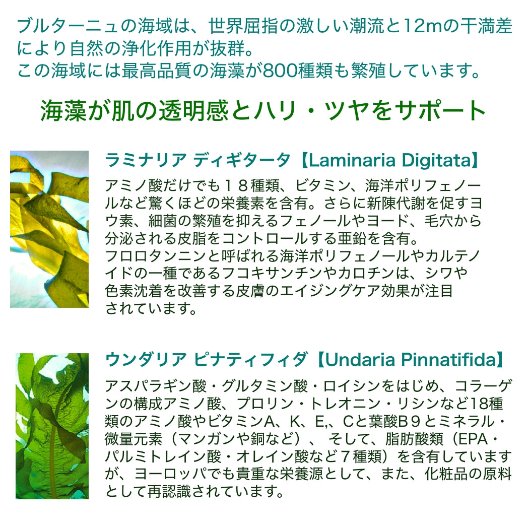 ホワイトパフォーマンスジュレ